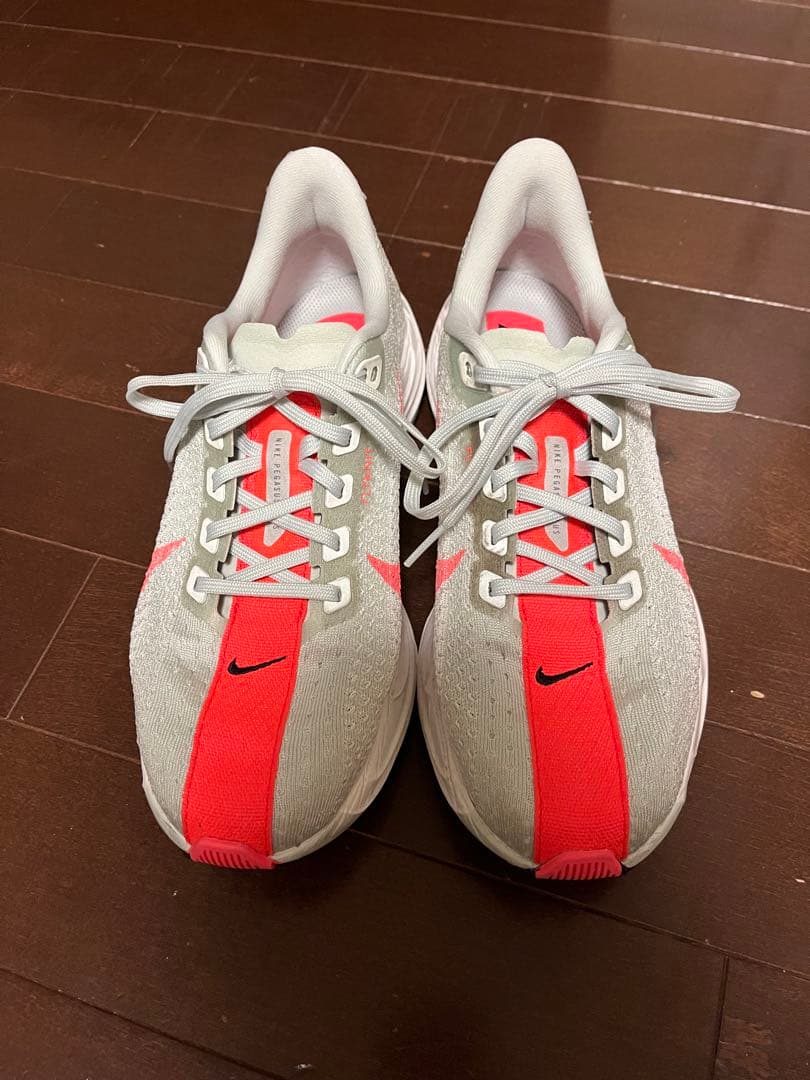 Nike☆ペガサスプラス☆24.5cm☆ナイキ☆zoom x