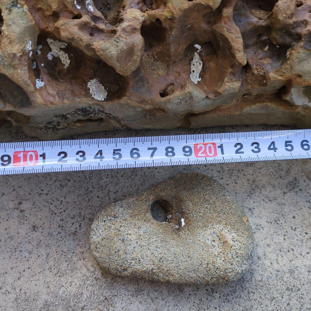 送料無料　アクアリウム　水槽用石セット　メダカ熱帯魚