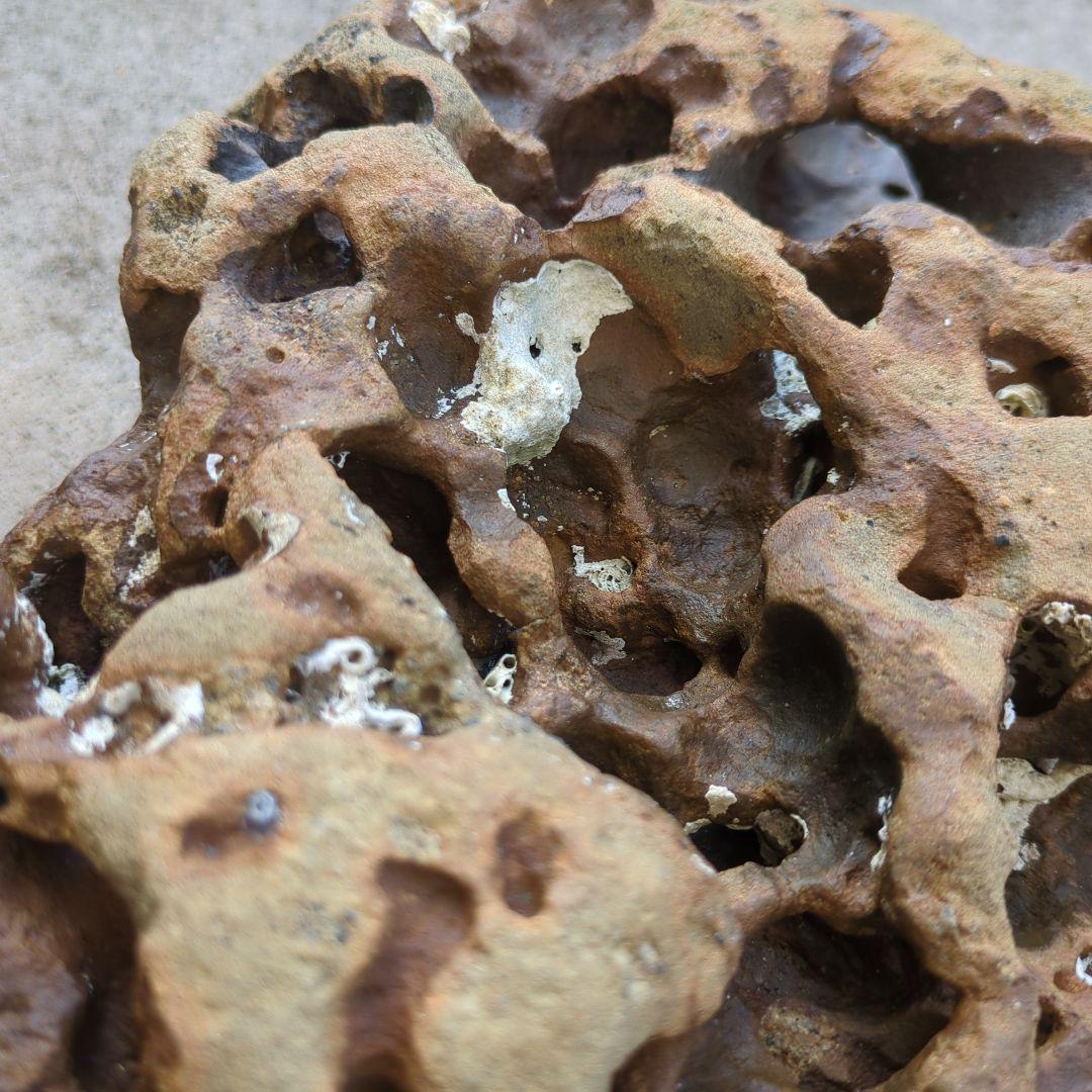 送料無料　アクアリウム　水槽用石セット　メダカ熱帯魚