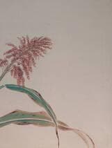 【真作】掛軸　軍鶏図　細密彩色花鳥画　秋の風趣　写実花鳥画　合箱入　T108