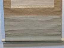 【真作】掛軸　軍鶏図　細密彩色花鳥画　秋の風趣　写実花鳥画　合箱入　T108