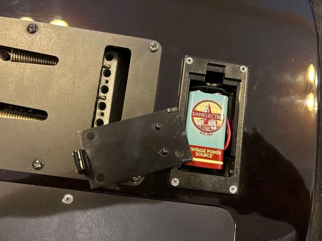 フェルナンデス TEJ サスティナー搭載