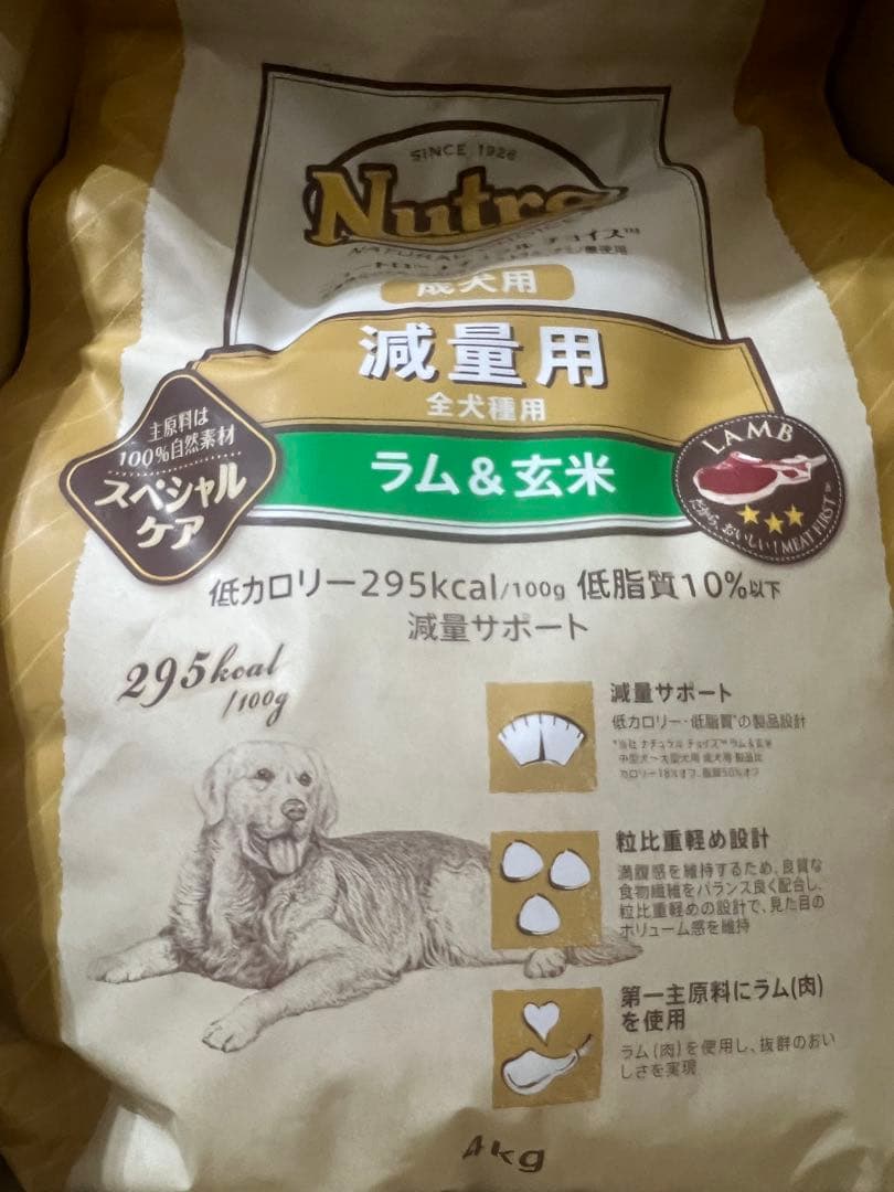 Nutro ラム&玄米 ドッグフード 4kg×2袋