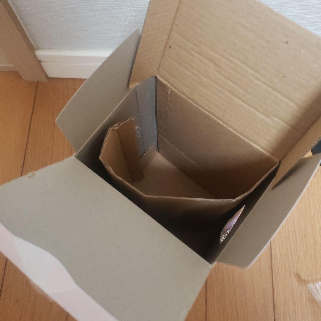 ポケモン ポケットモンスター DXF N フィギュア2体セット　箱１つのみ