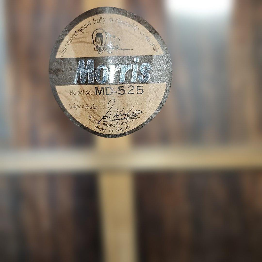 モーリスMD525旧ロゴトップ単板 社外製ソフトケース付き