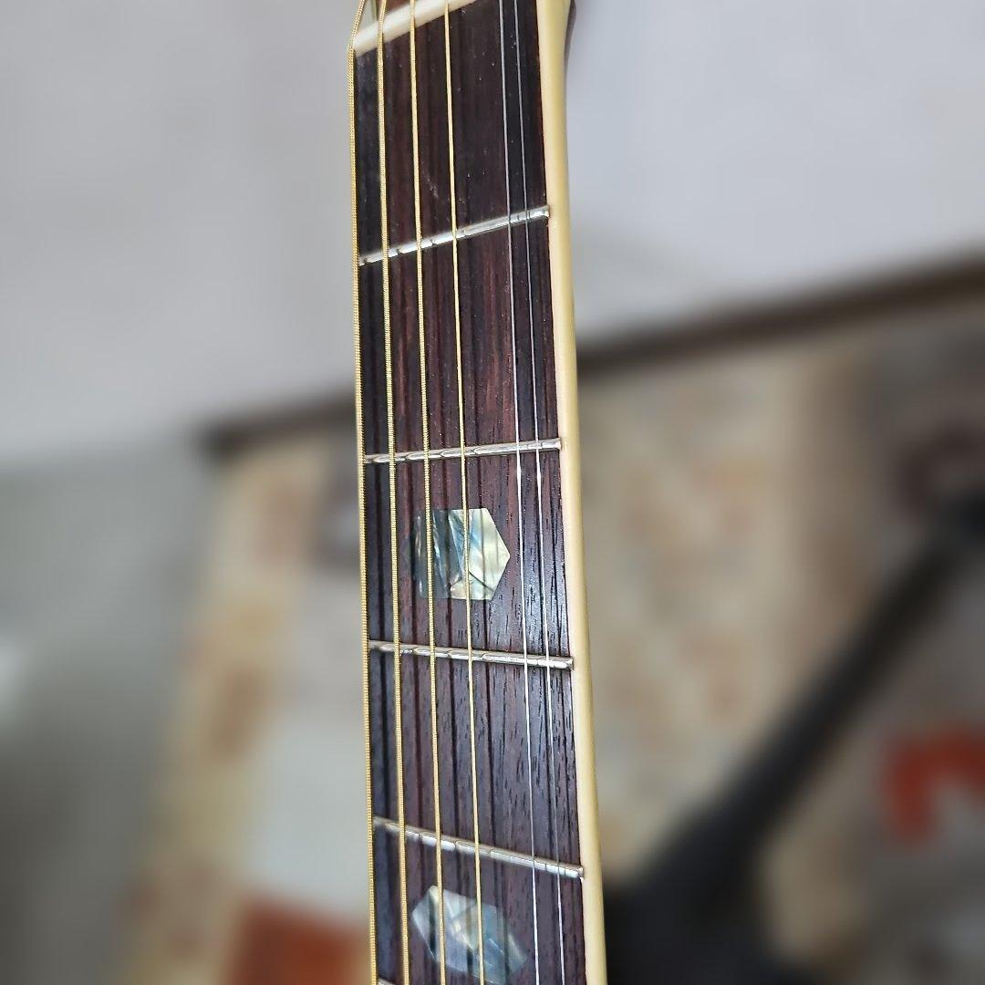 モーリスMD525旧ロゴトップ単板 社外製ソフトケース付き