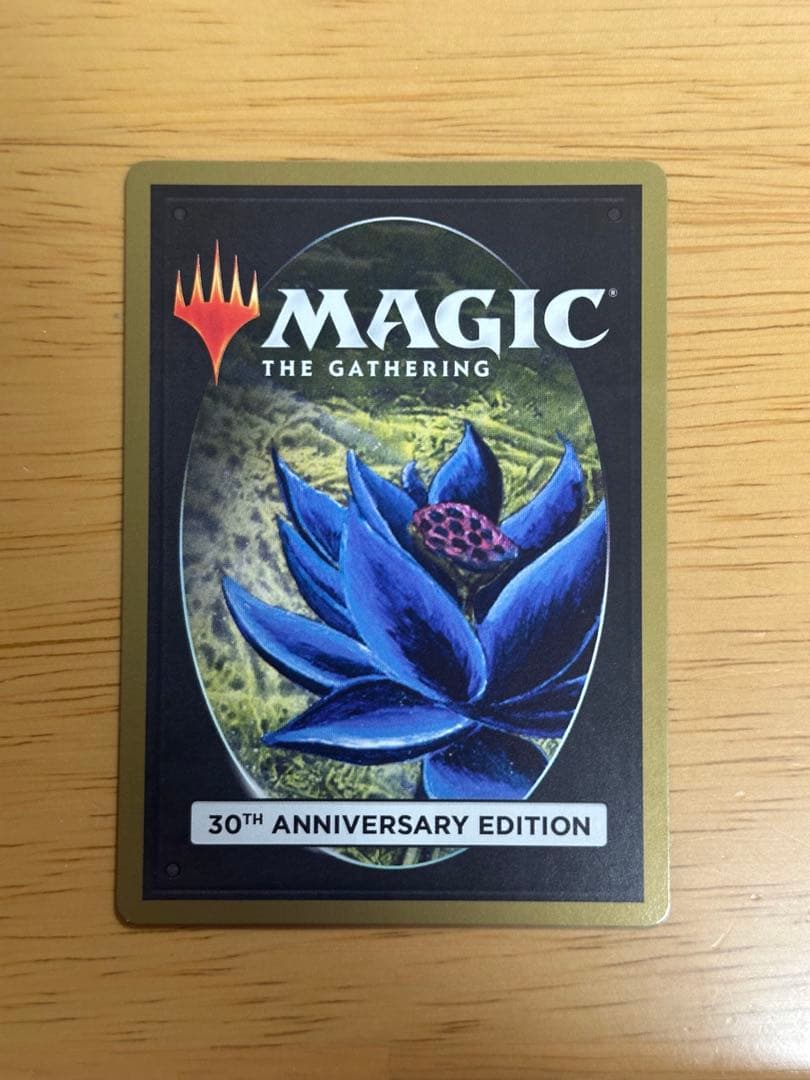 マジック：ザ・ギャザリング underground sea mtg 30th anniversary