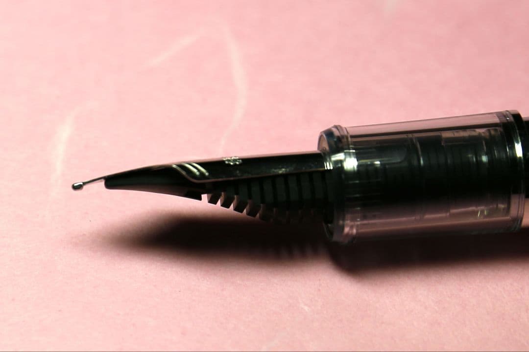 【限定】万年筆 プラチナ #3776 センチュリー「六花」SM（中軟）おまけ付き