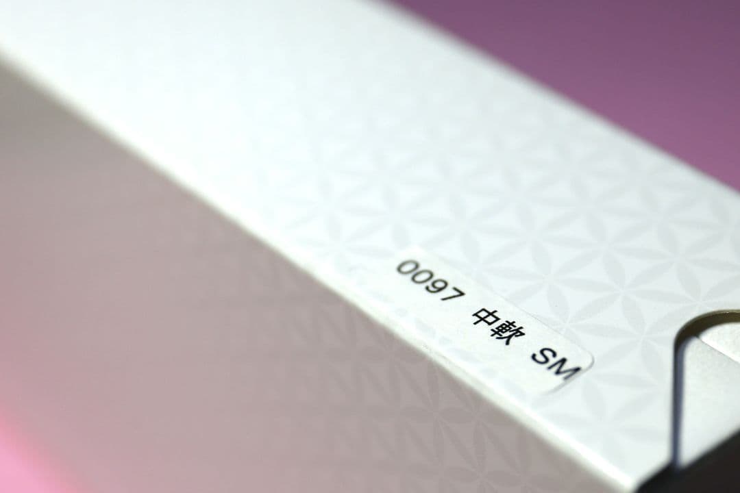 【限定】万年筆 プラチナ #3776 センチュリー「六花」SM（中軟）おまけ付き