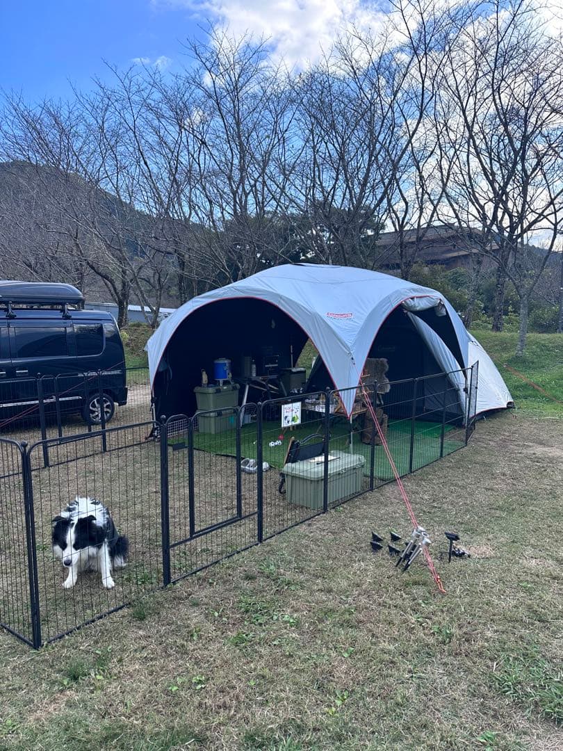 ペットサークル /フェンス ペットケージ 中大型犬用 スチール製 8枚組 ②