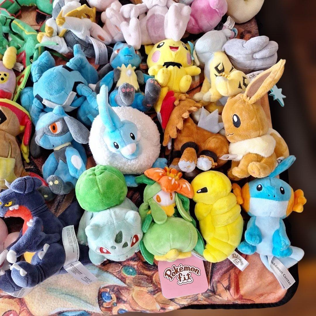タグ付きあり　ポケモンセンター　FIT　まとめ　大量　中古あり　ぬいぐるみ