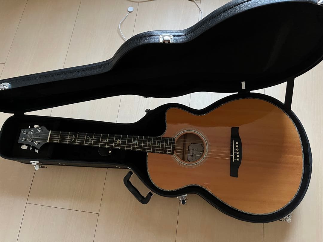 ポールリードスミス　PRS エレアコ