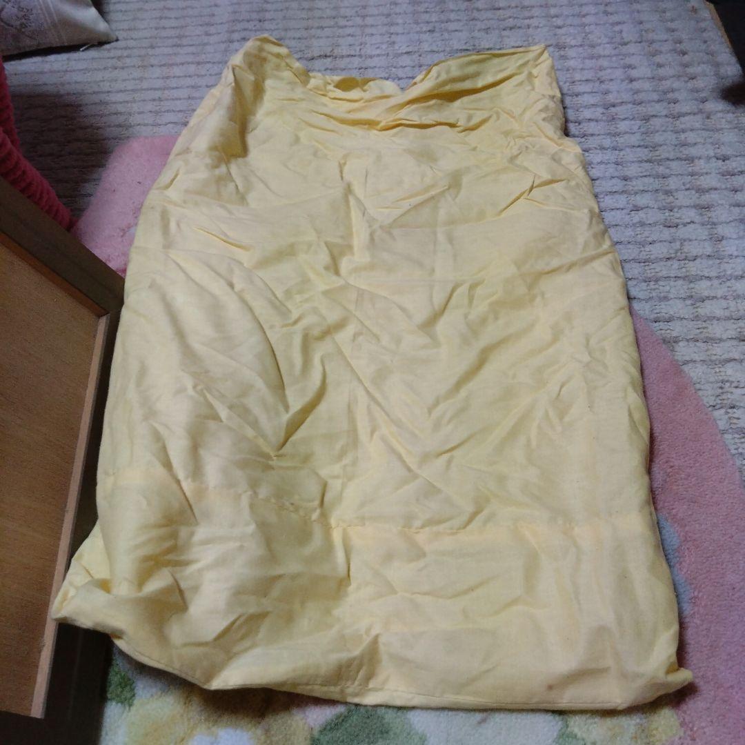 藤井勉さんの少女の絵画です。希少です。なかなか無いです希望と書いてありました。