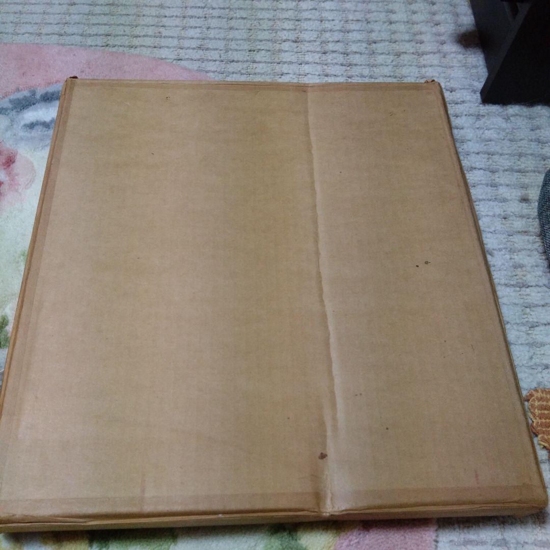 藤井勉さんの少女の絵画です。希少です。なかなか無いです希望と書いてありました。