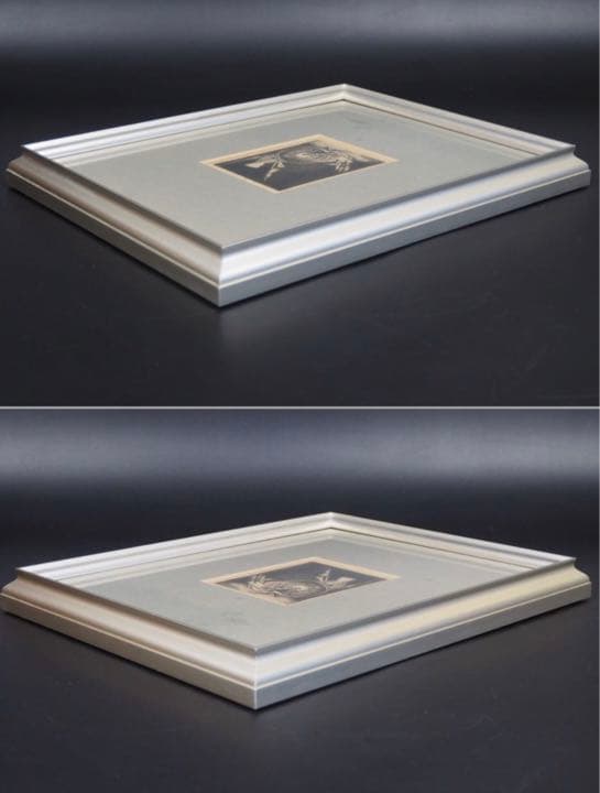 送料無料　フランソワ・ボンヴァン Franois Bonvin 銅版画1861年