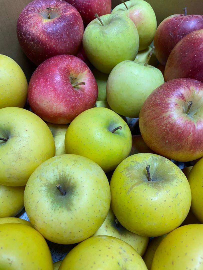 piyo　リンゴ詰め合わせ　20kg