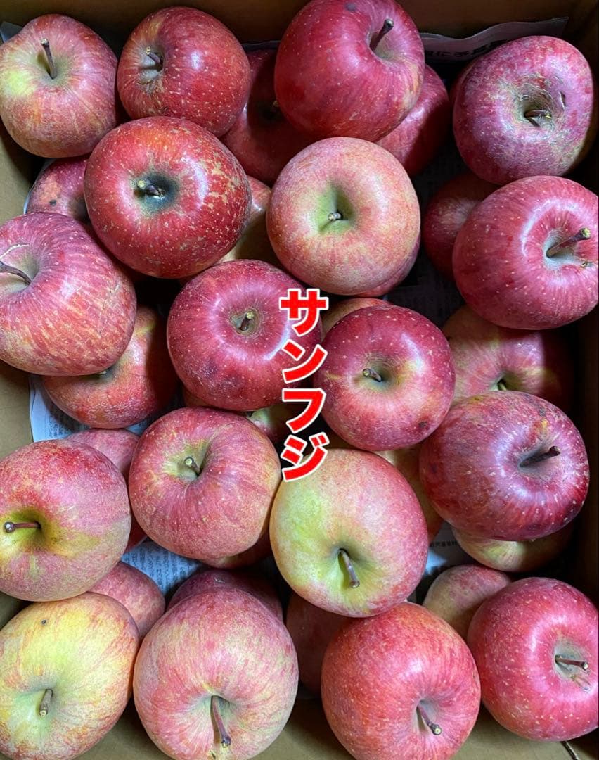 piyo　リンゴ詰め合わせ　20kg