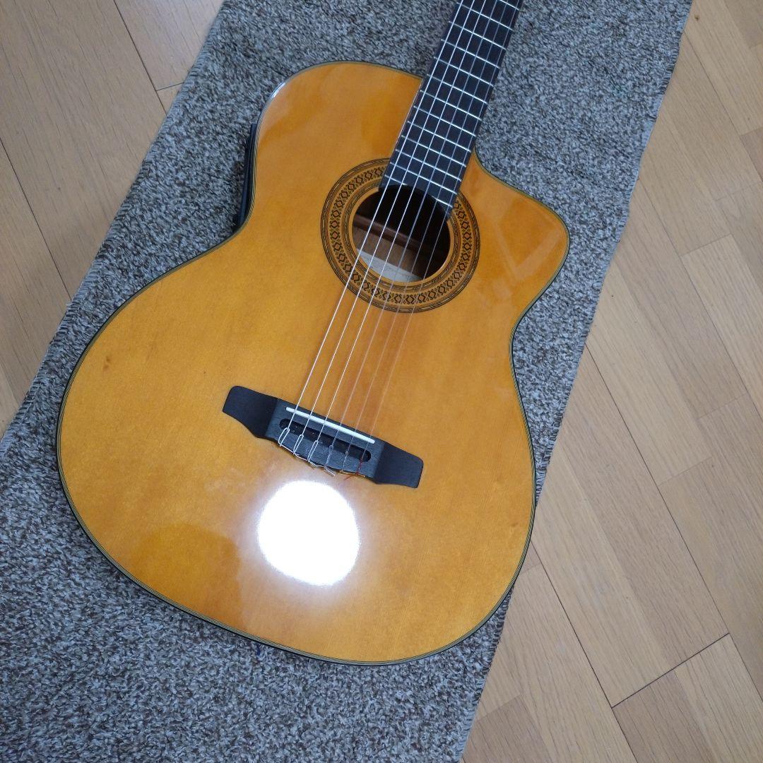 history HCGEG エレガットギター クラシックギター