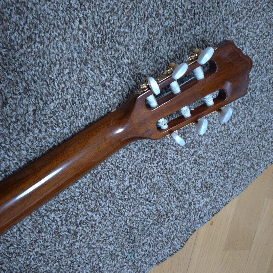 history HCGEG エレガットギター クラシックギター