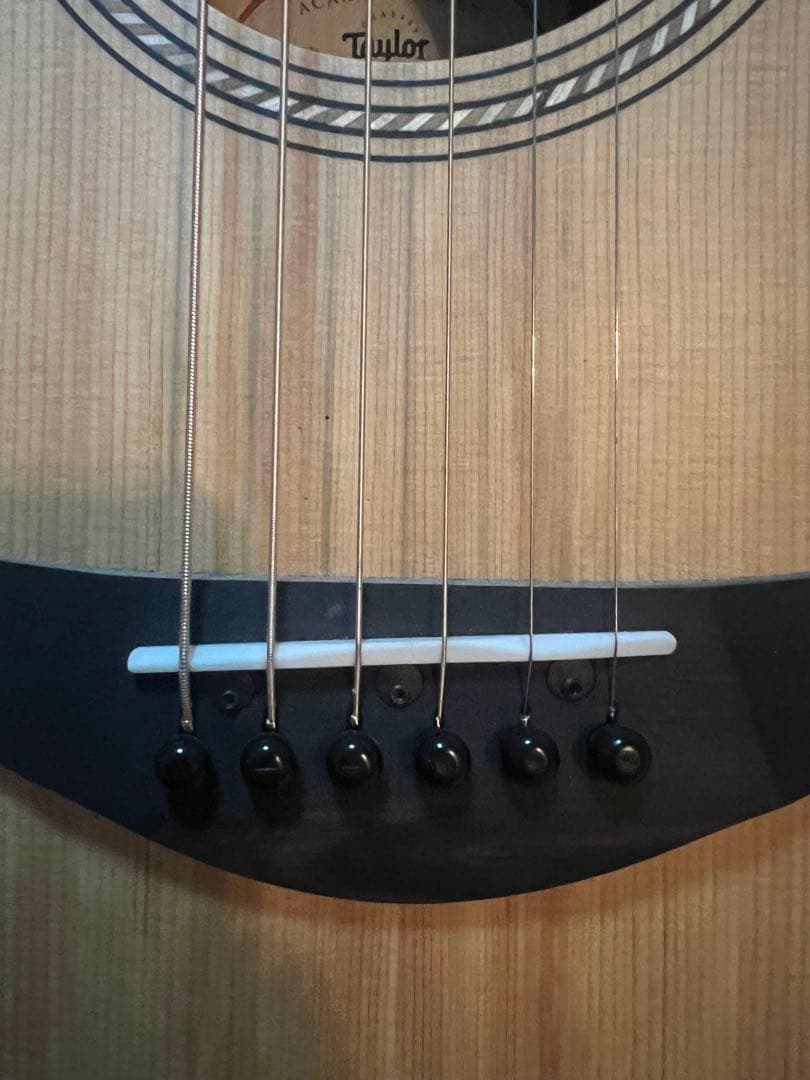 最終値段★Taylor Academy12e 24年購入 保証書あり ほぼ未使用