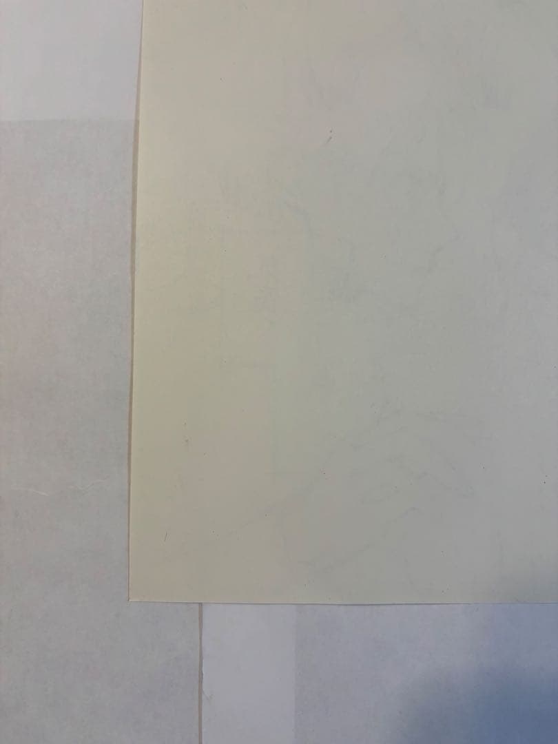 ヴァンパイア騎士原画展 限定 樋野まつり先生 直筆「原稿下絵」1枚　暁　瑠佳