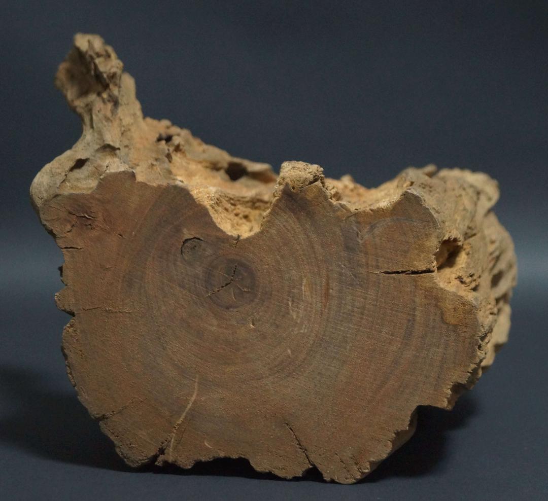 インド産 天然古白檀 特大香木 原木 自然体 山形香木置物 古香木 重量974g