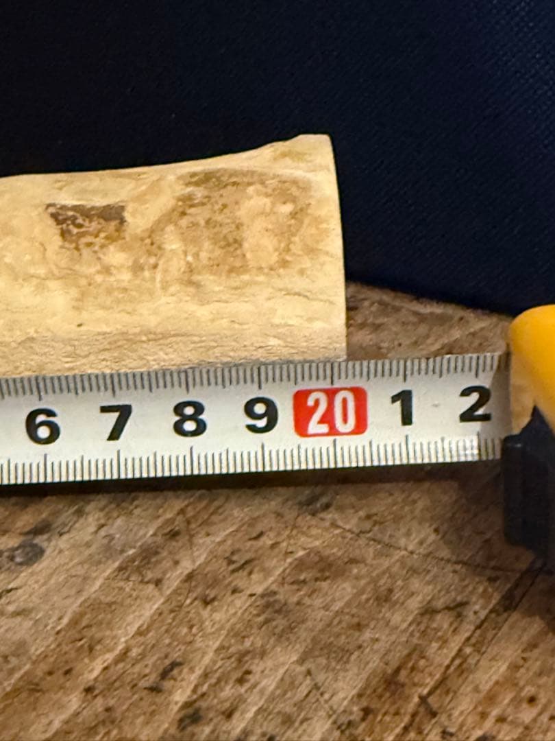珪化木 超美品 20cm×5cm 625g
