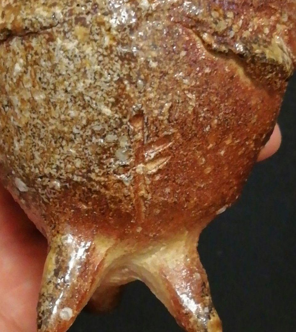 澤清嗣作　信楽焼　シカ　盃　ぐい呑　共箱　略歴付　酒器