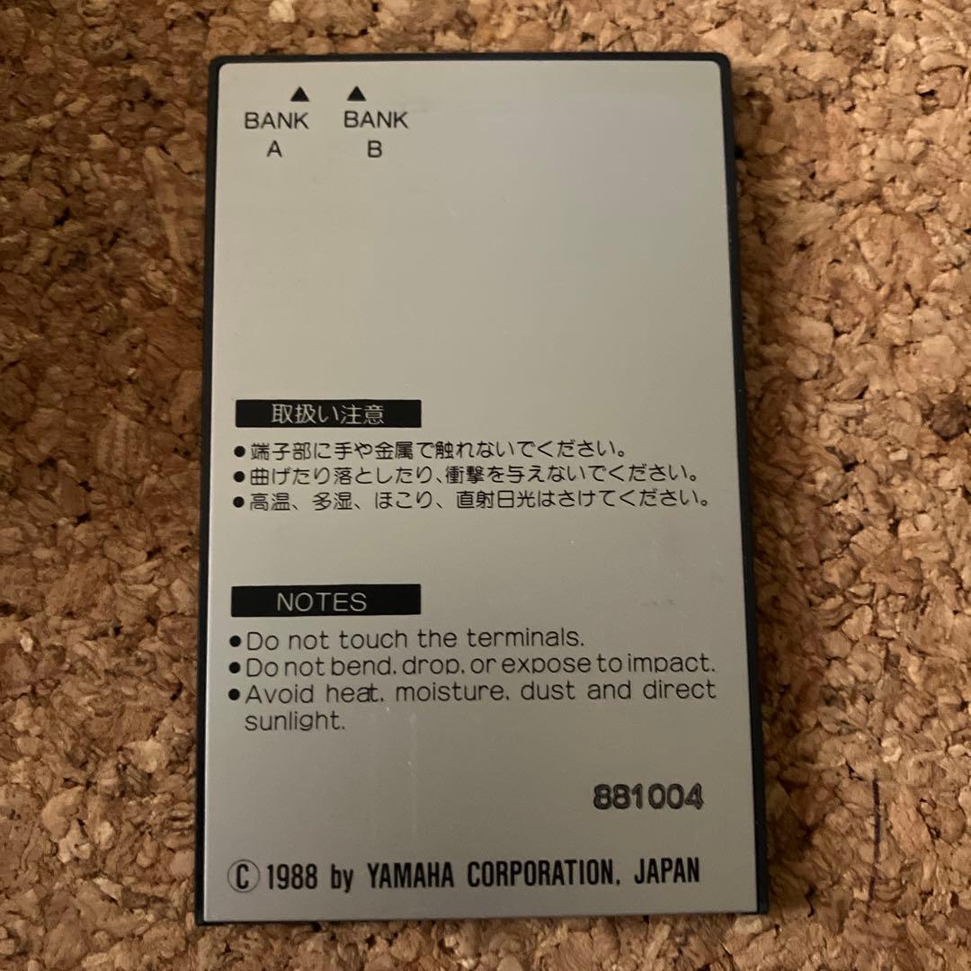 Yamaha EOS YS100 YS200 RCD102 小室哲哉　TMN