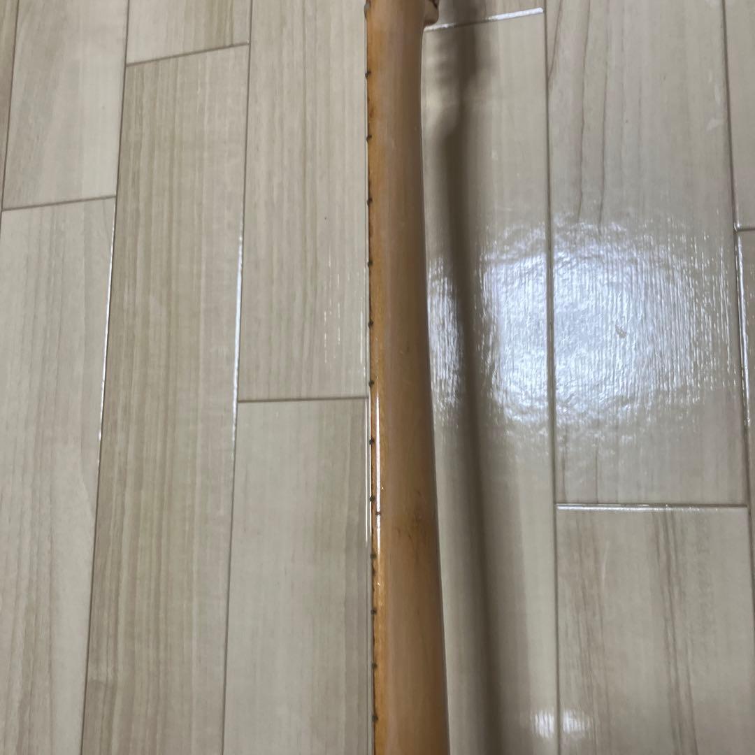 moonテレキャスタイプ