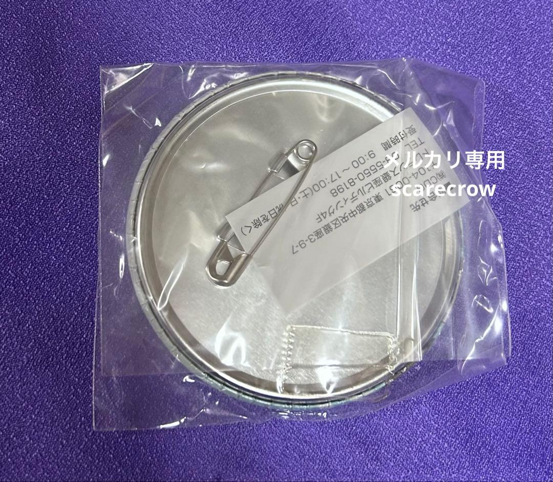 【非売品】NARUTO疾風伝 ナンジャタウン 缶バッジ はたけカカシ（少年）