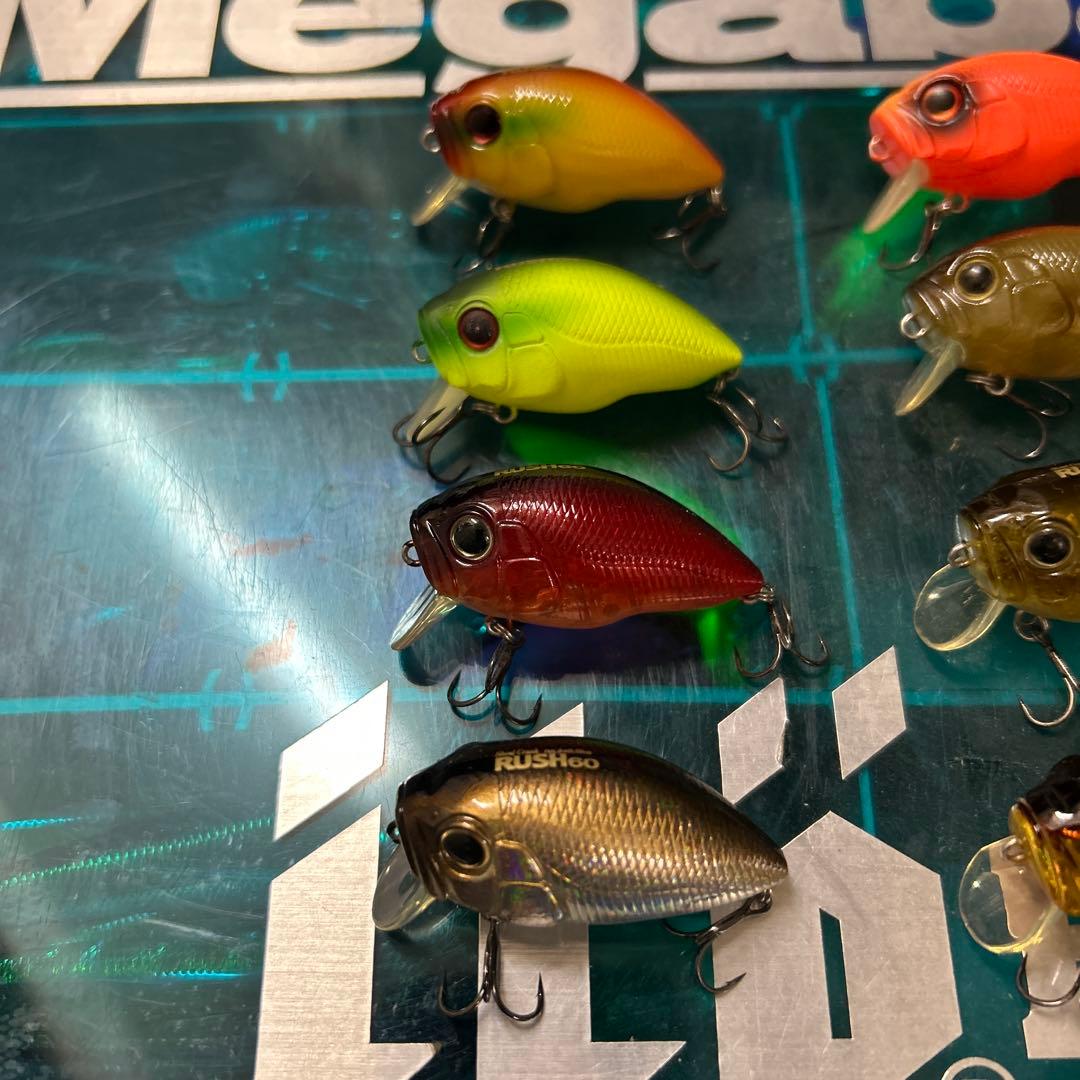 インキュベーター RUSH ラッシュ 60 DROP ドロップ 75