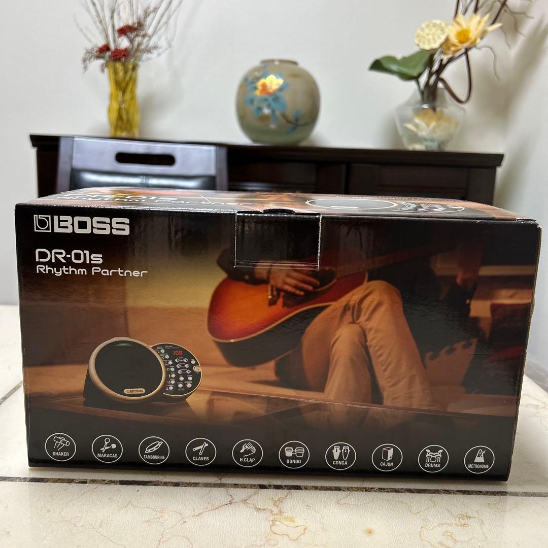 パーカッション・打楽器 DR-01S Rhythm Partner