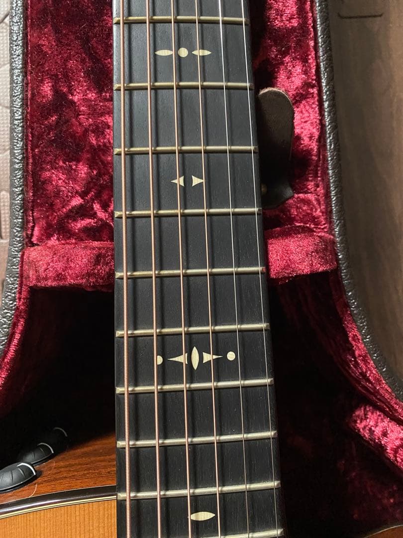 Taylor 512ce selected by koeido 光栄堂