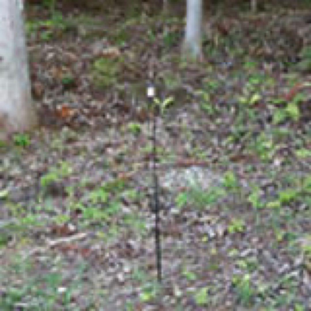 ライト・ランタン shu works ul lantern stand Table Clip