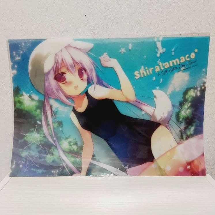 しらたまこ しろいいぬ　A3クリアハードポスター　C84　しらたま