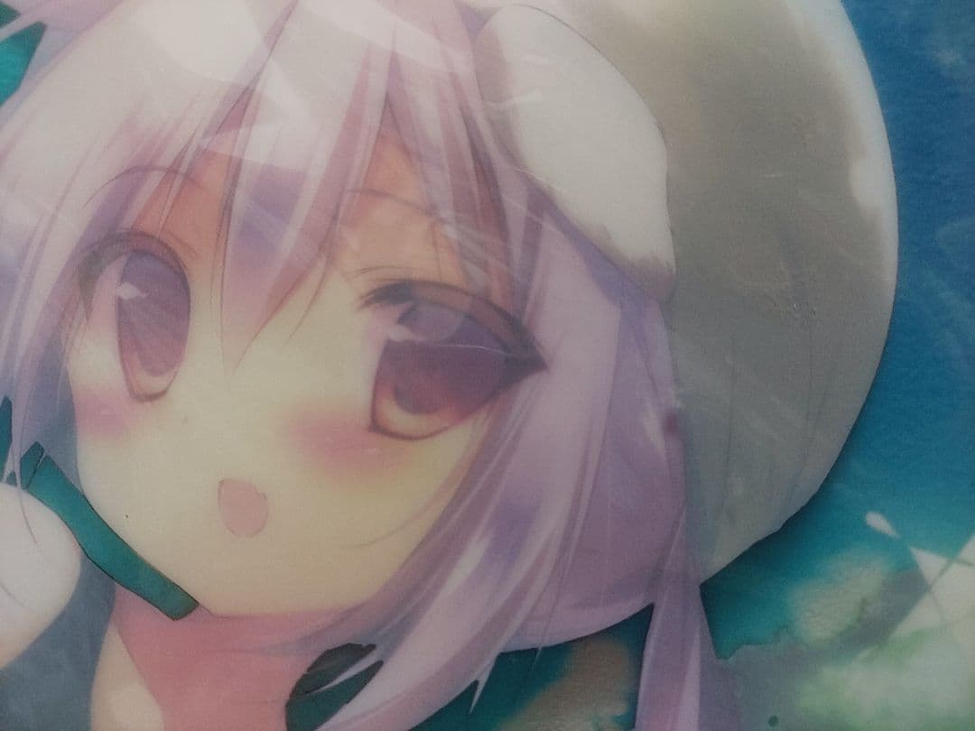 しらたまこ しろいいぬ　A3クリアハードポスター　C84　しらたま