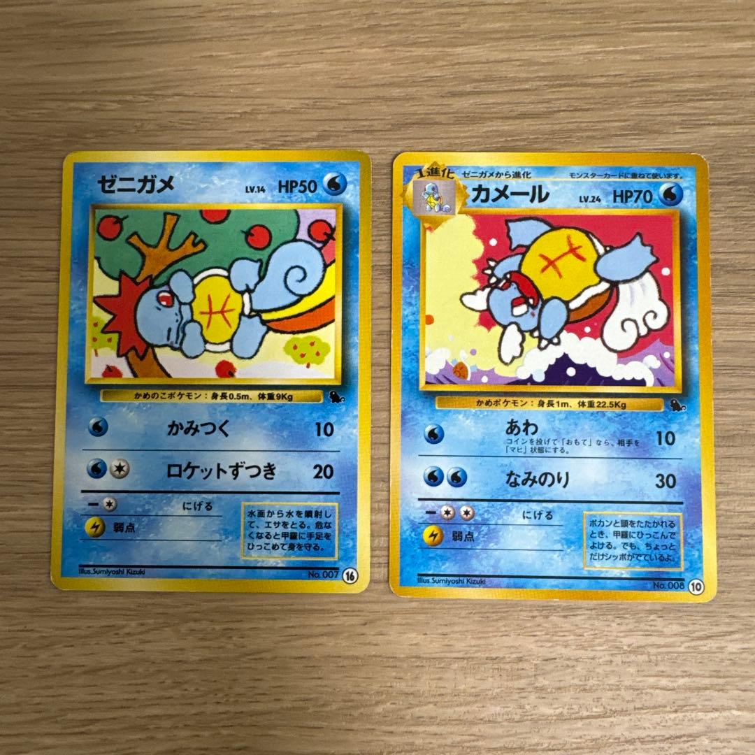 ゼニガメ、カメール イントロパック【5436