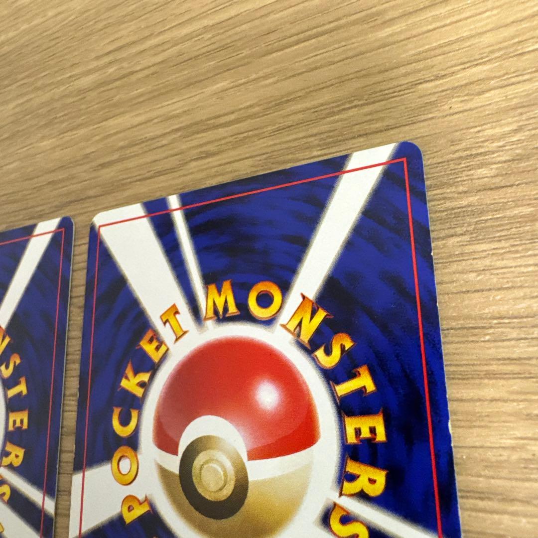 ゼニガメ、カメール イントロパック【5436