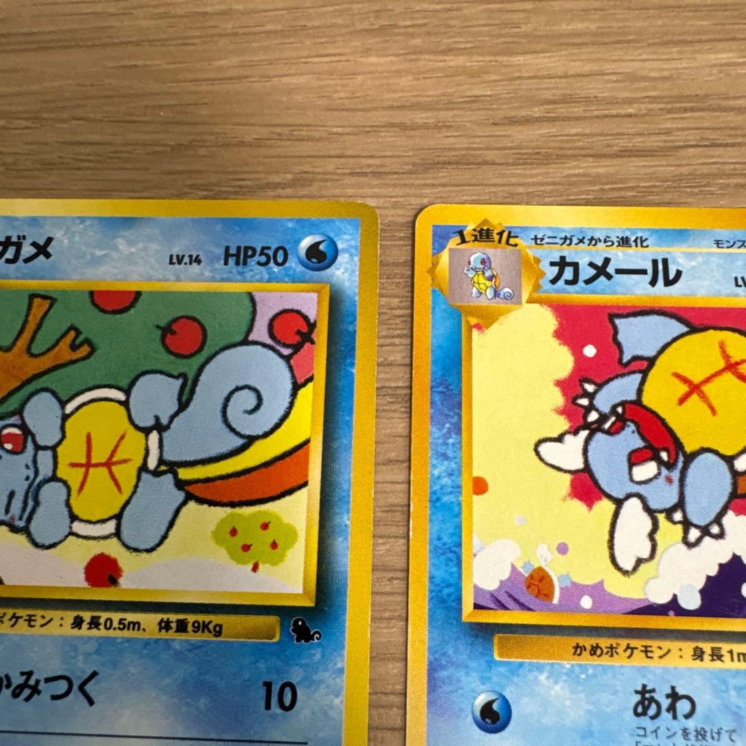 ゼニガメ、カメール イントロパック【5436