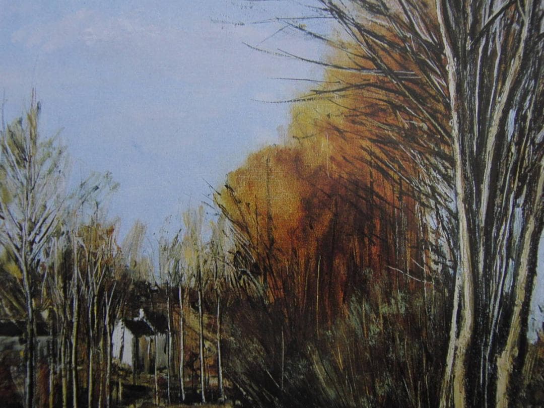 ベルナール・ビュッフェ「Environs de Cher」希少画集の額装画