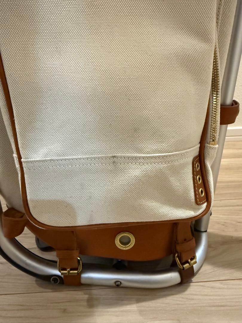 木の庄帆布×ミズノフレームウォーカー　希少初期型白