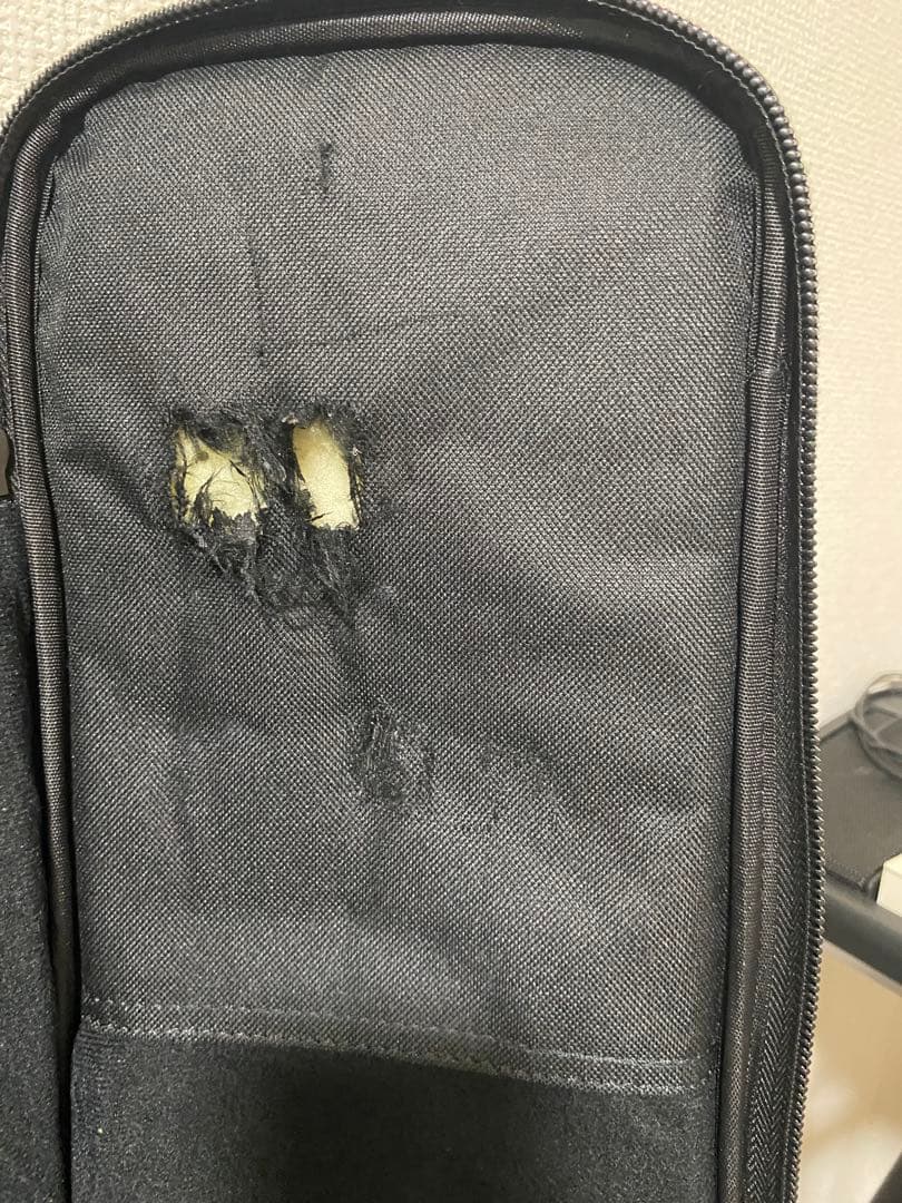 A様の専用　PRS SE CUSTOM 24 エレキギター