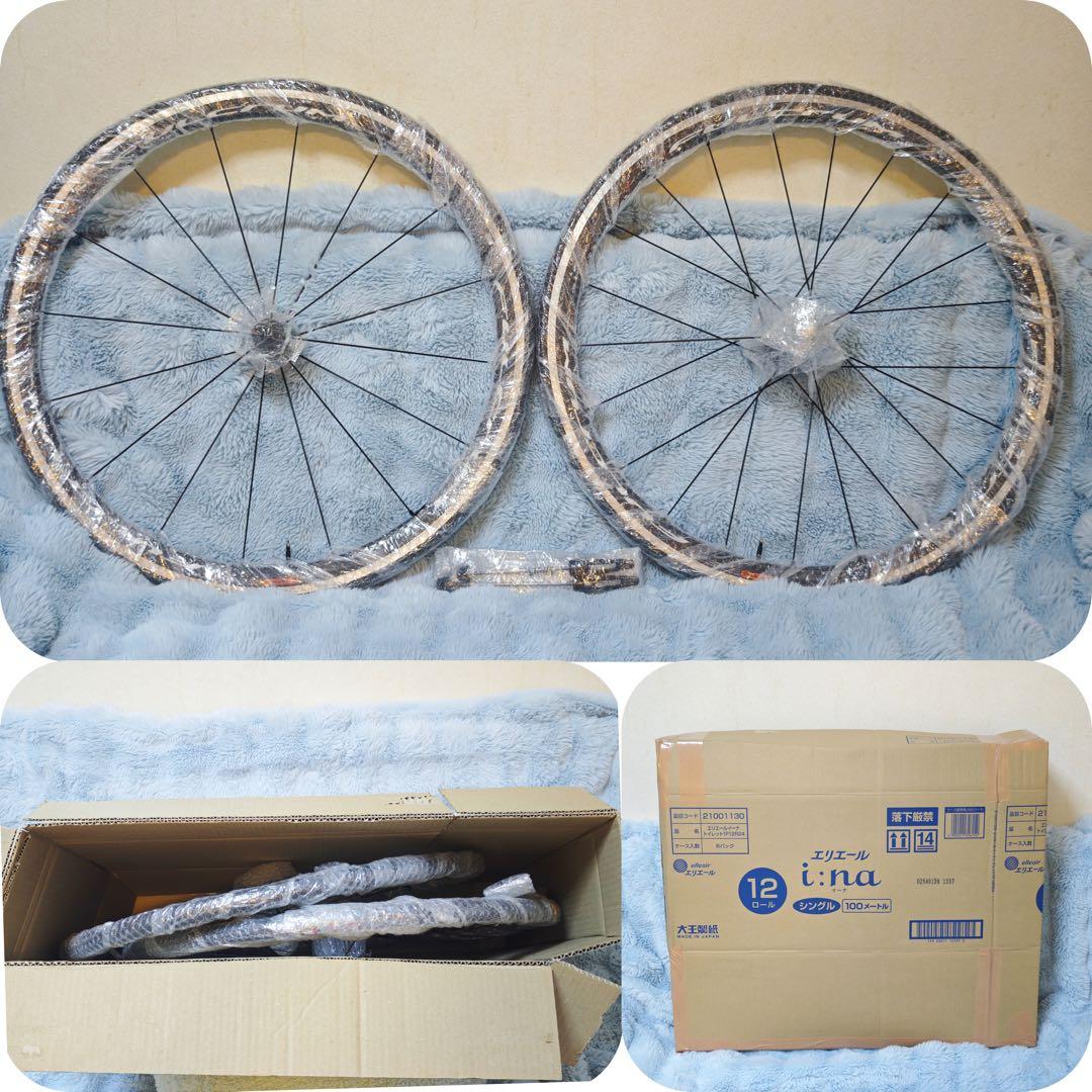 HED. BELGIUM × PHILWOOD HUB