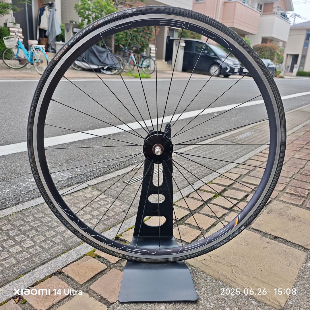 HED. BELGIUM × PHILWOOD HUB