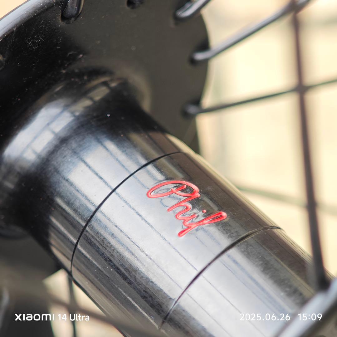 HED. BELGIUM × PHILWOOD HUB