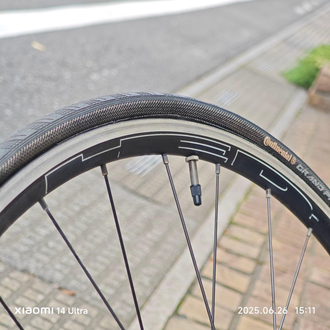 HED. BELGIUM × PHILWOOD HUB