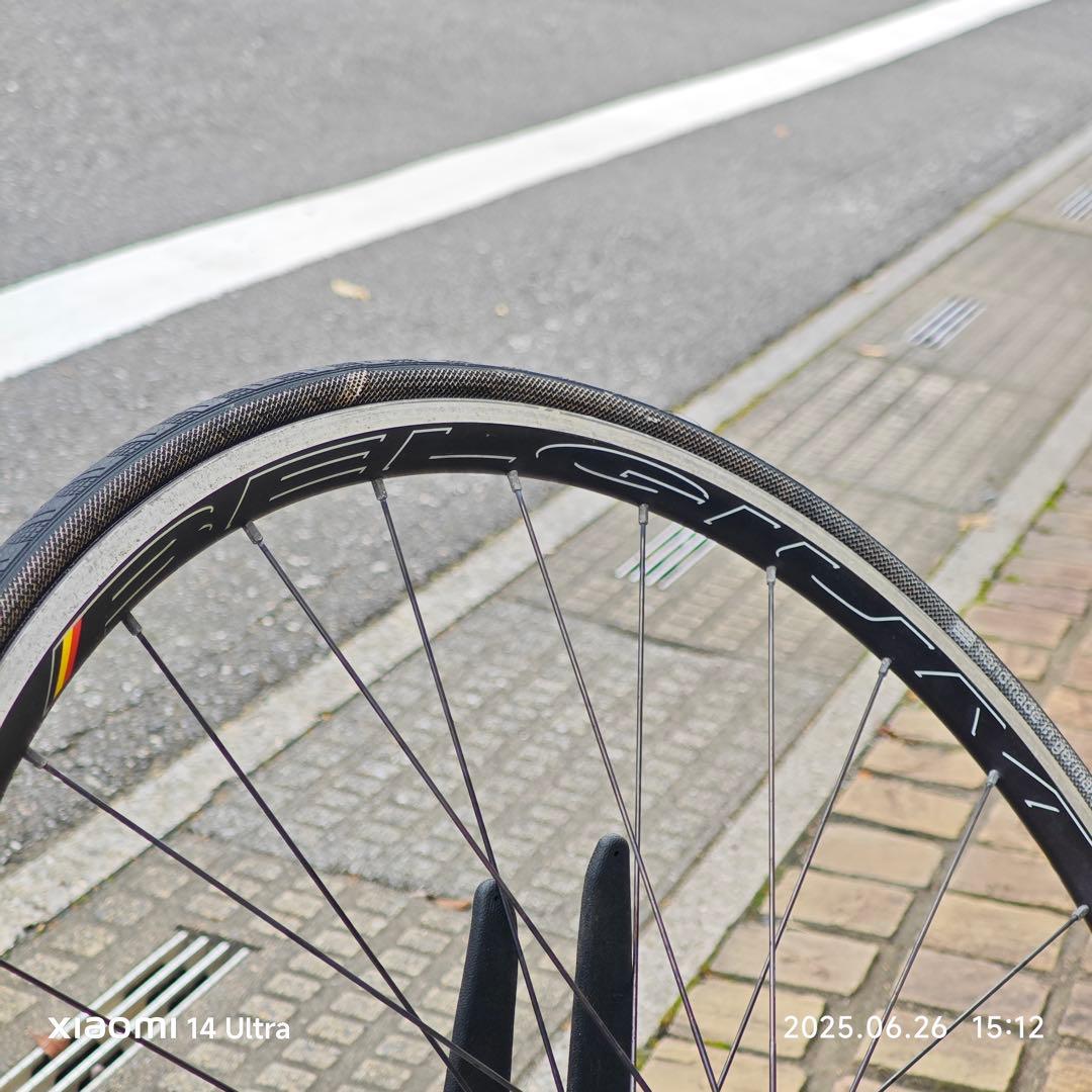 HED. BELGIUM × PHILWOOD HUB