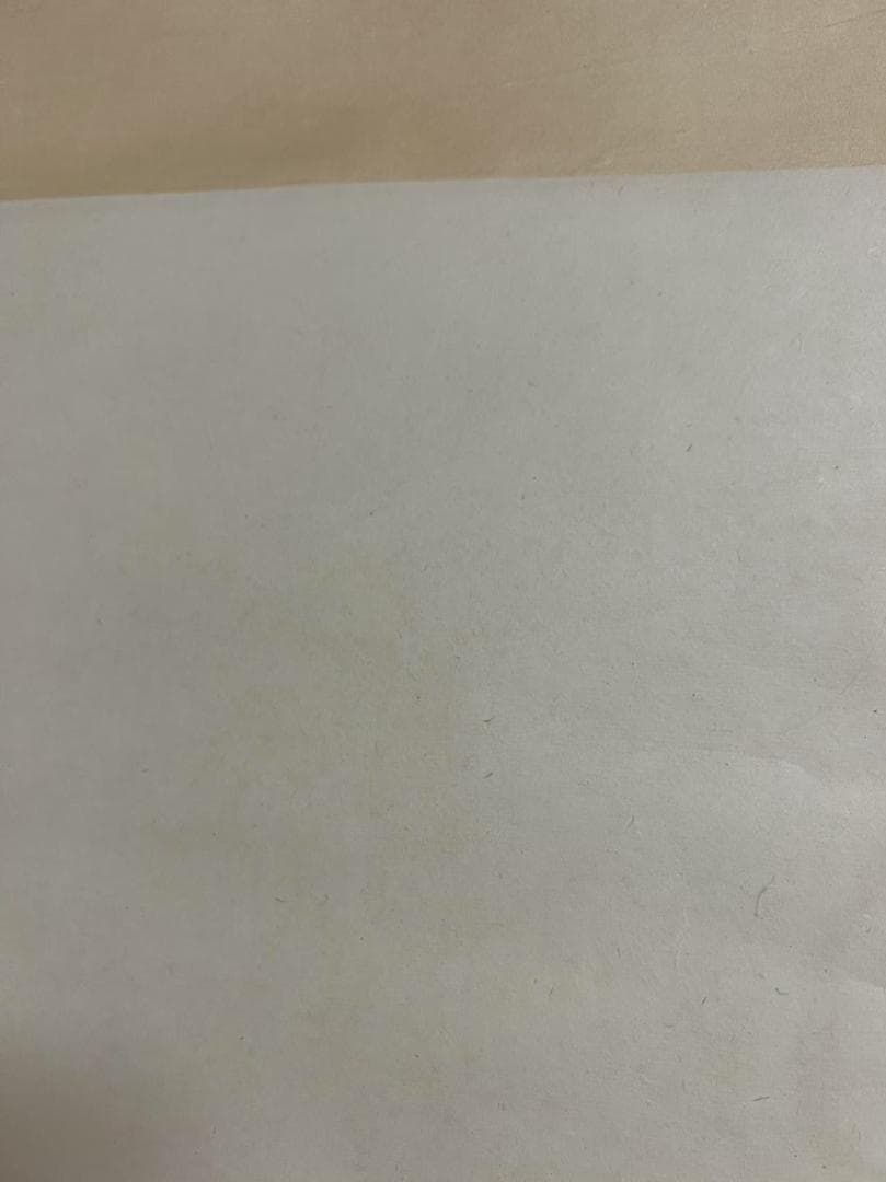 田中 野夫専用 水墨肉筆　錦鶏花葉太湖石図　南田沈銓 掛軸 中国美術(Y-12)