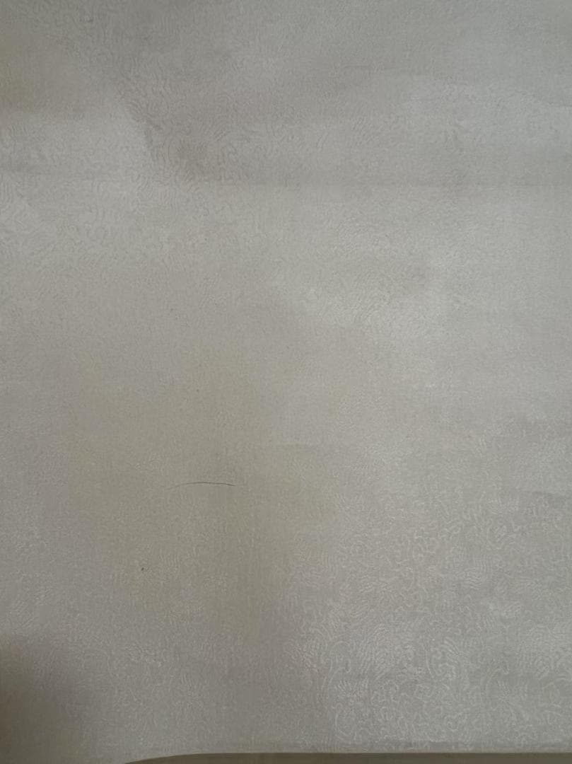 田中 野夫専用 水墨肉筆　錦鶏花葉太湖石図　南田沈銓 掛軸 中国美術(Y-12)